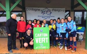 carton vert