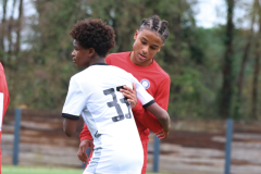 Posts FB rectangle - 11