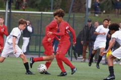 Posts FB rectangle - 12