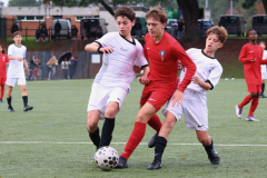 Posts FB rectangle - 15