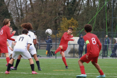 Posts FB rectangle - 26