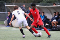 Posts FB rectangle - 28