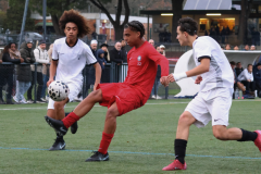 Posts FB rectangle - 33