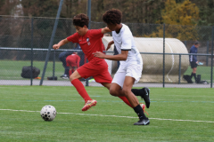 Posts FB rectangle - 4