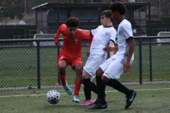 Posts FB rectangle - 40