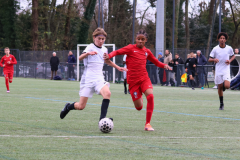 Posts FB rectangle - 7